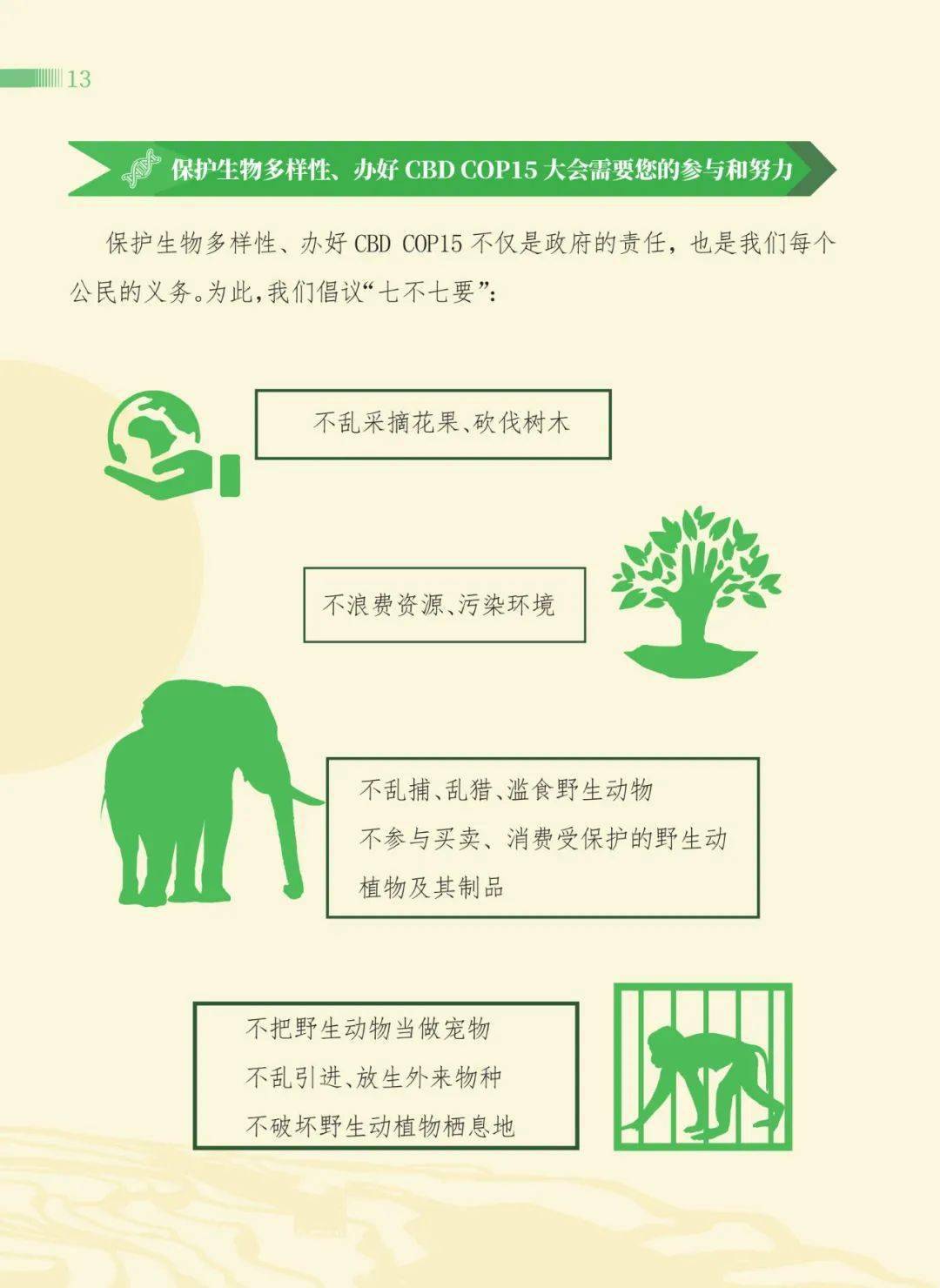 cop15主题手抄报图片