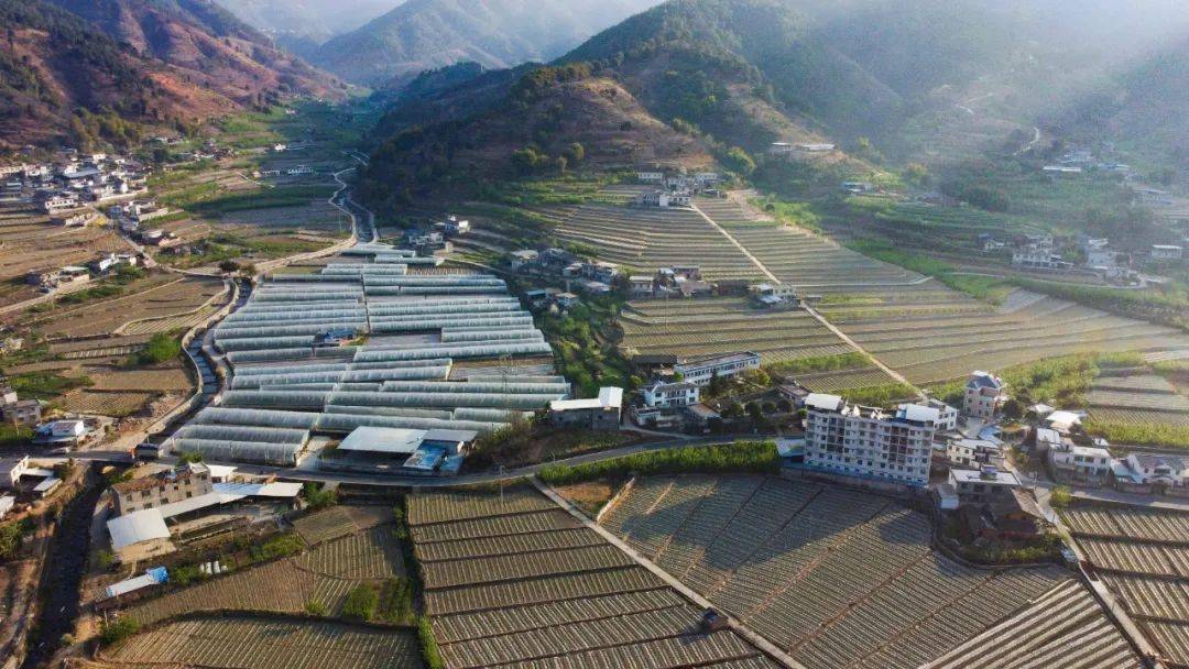 盐展开来丨永兴镇依托特色资源添置特色产业