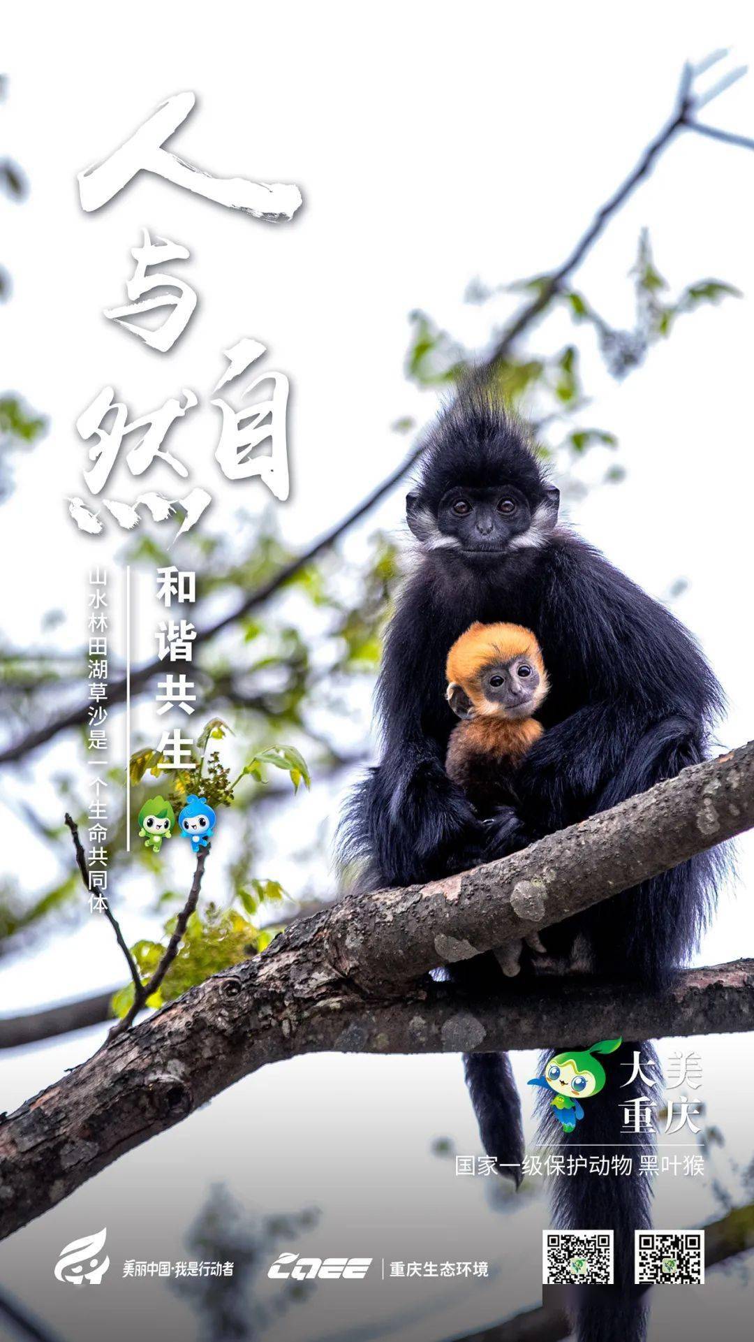 六五环境日人与自然和谐共生六五环境日主题海报重庆篇