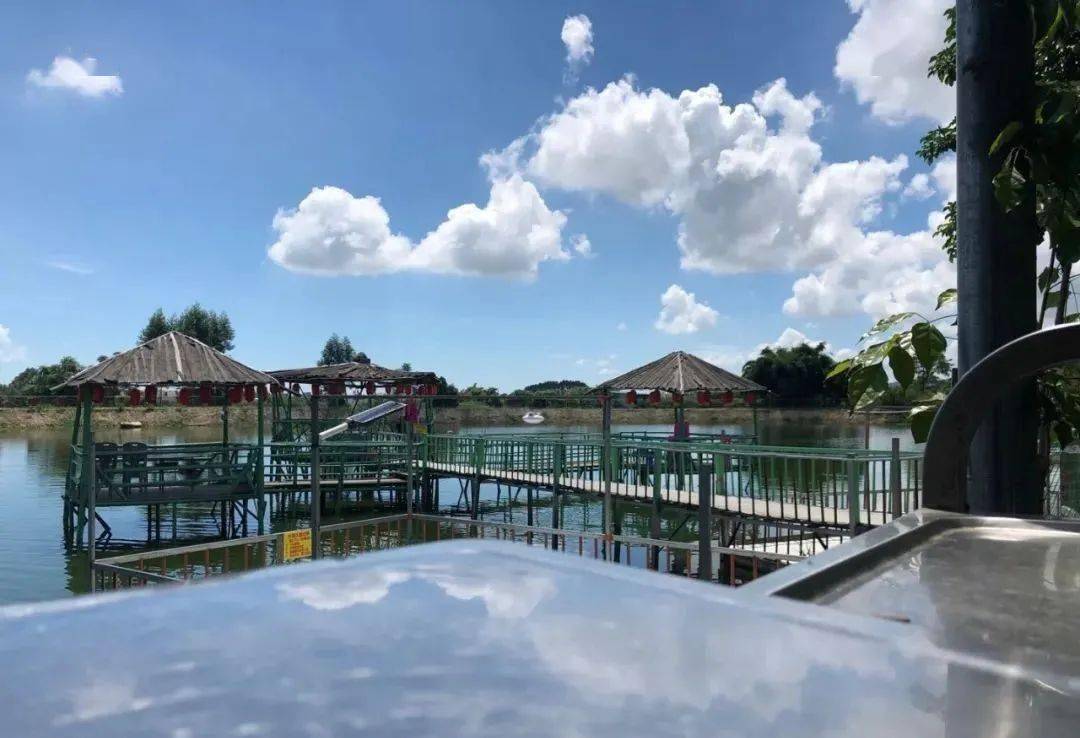 半鹅宴199元抢购山水农庄24人套餐红焖鹅头脖柠檬脚翅堡鹅火锅鹅肉鹅