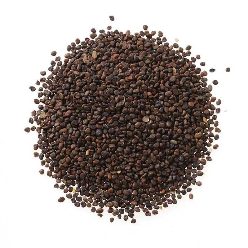 中药半月谈丨沙苑子