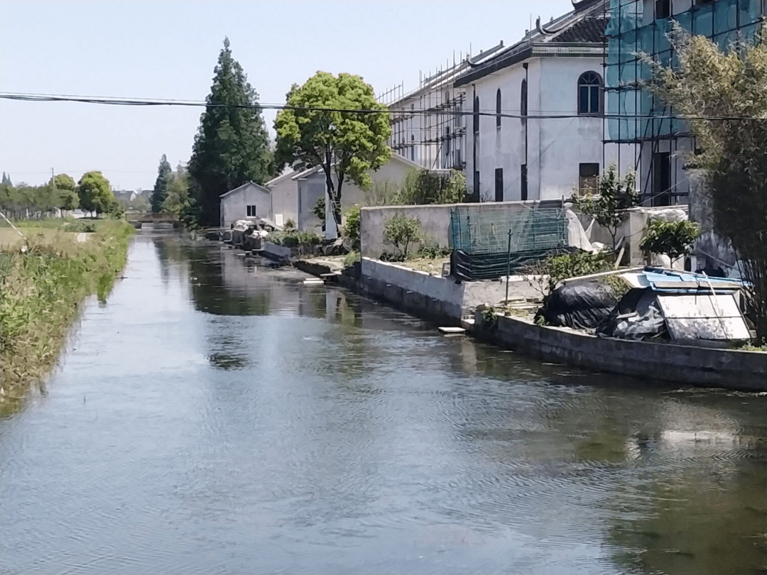 横塘村叶家巷河河岸杂物堆放问题中南村白茆塘垦种问题中南村白茆塘桥