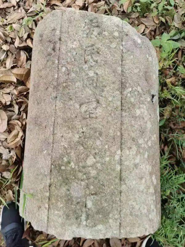 郑侨墓遗址自解放初期经历多次发现,2001年名列省保,郑氏后裔捐资重修