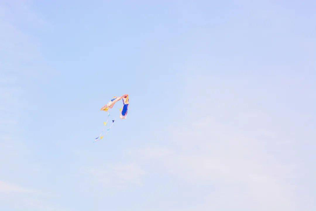 "有一位名叫康菁菁的小姐姐是这样说的——"表白这件事情有什么意义呢