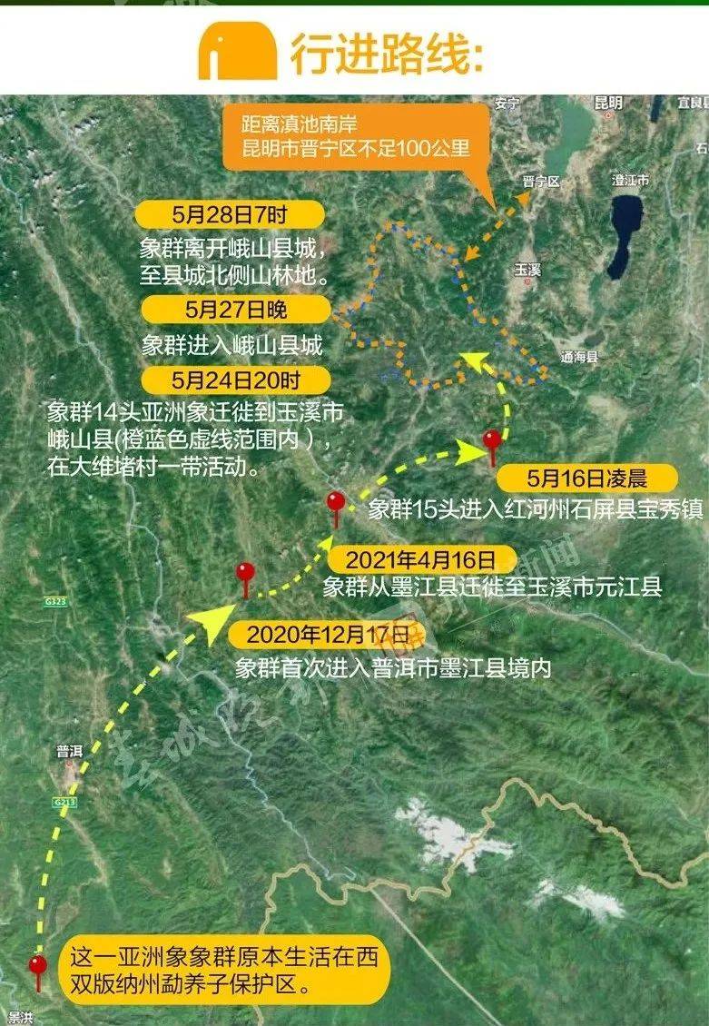 云南15头野象一路北迁,已临近昆明!