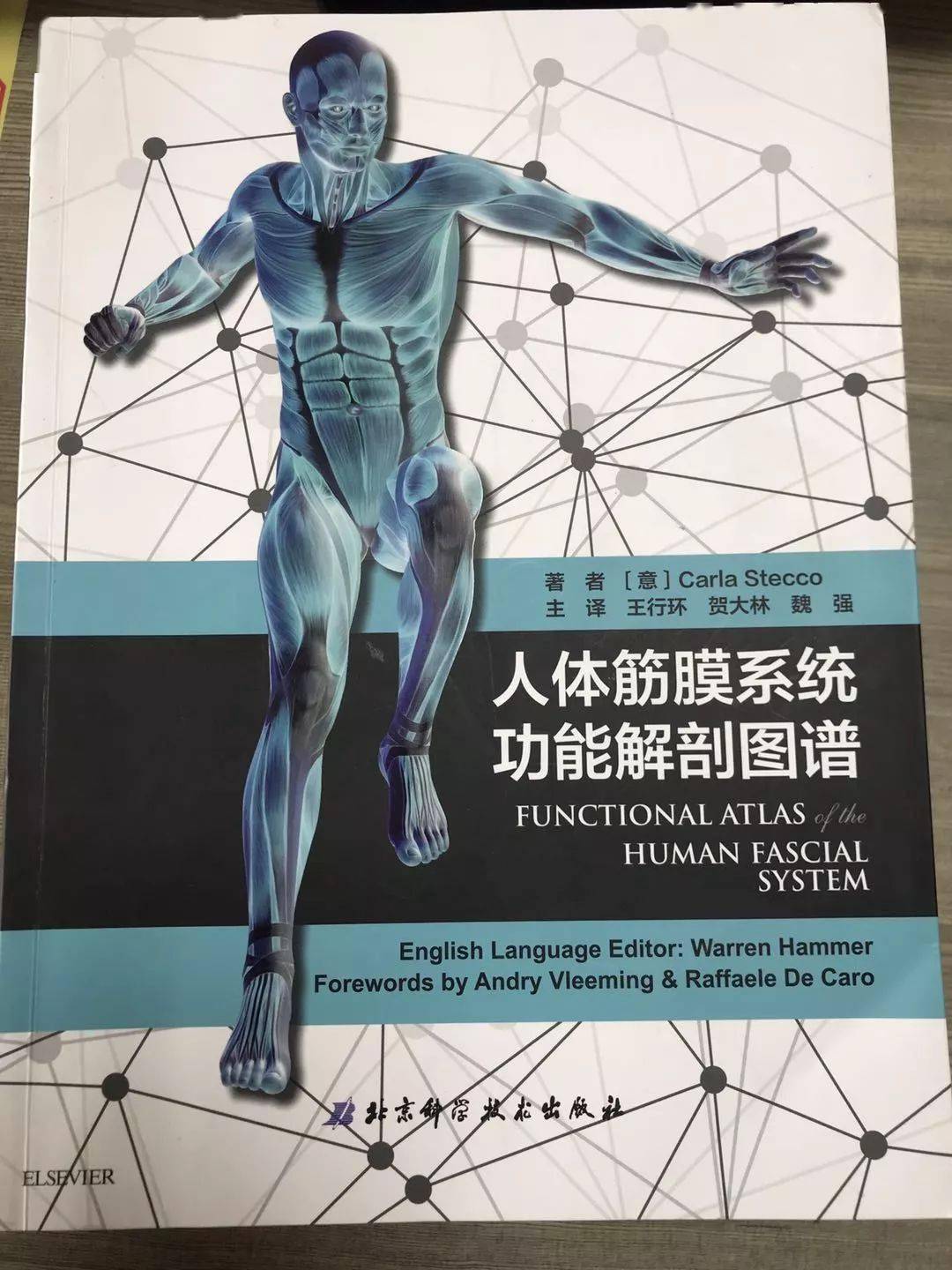 《触诊技术体表解剖》第二版44,《触诊解剖学图谱》第二版45,《肌肉链