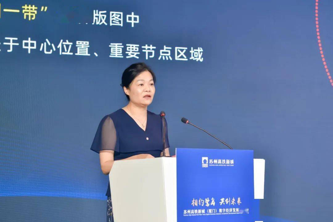 苏州高铁新城管委会副主任王海峰进行苏州高铁新城数字经济系列政策