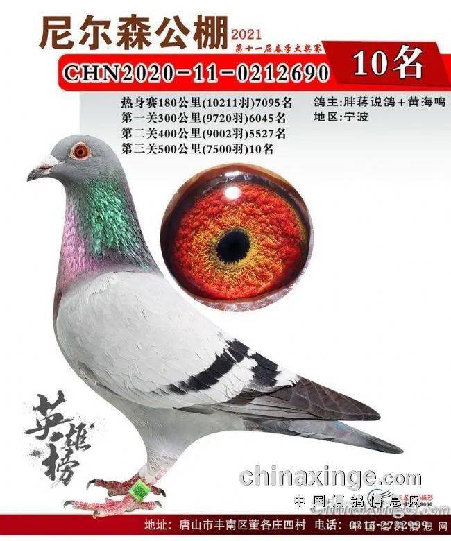 三关+两站 十一届老棚愈战愈勇 唐山尼尔森冠军鉴赏