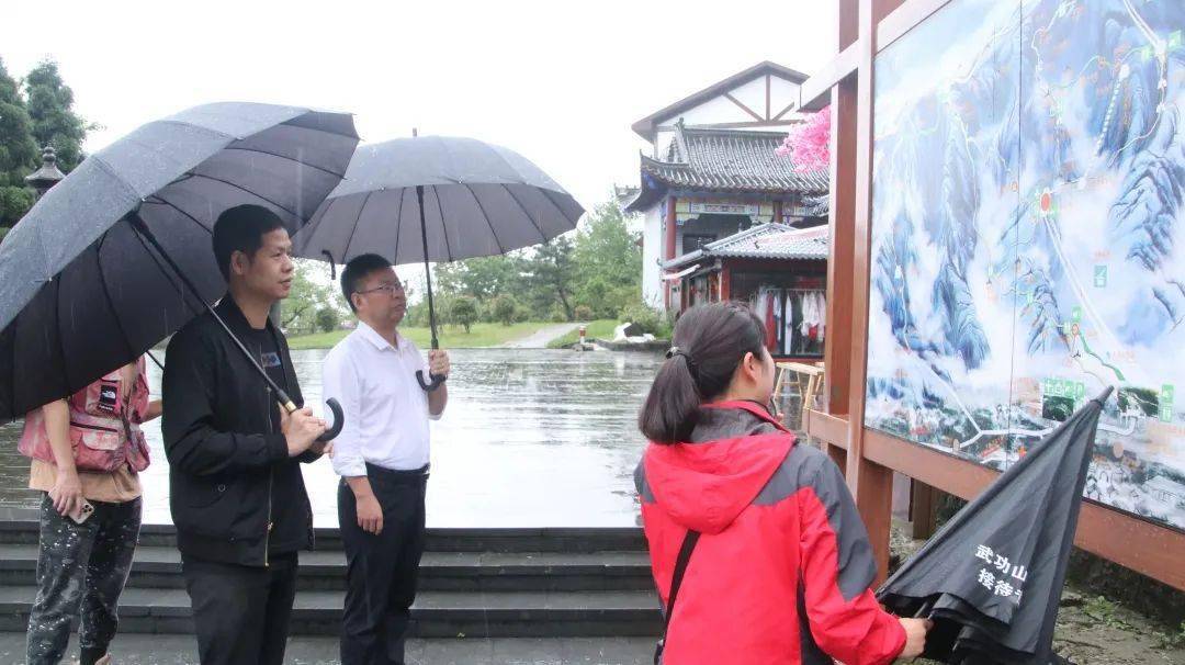 望仙谷景区负责人陈亦峰莅武考察