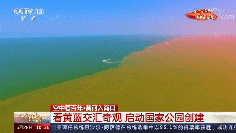 黄河入海口:看黄蓝交汇奇观年采油量达到12万吨