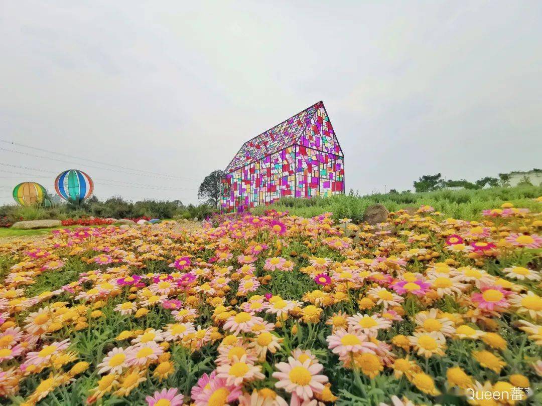花海的图片高清大图 ed371bb01501472f80f8d39ff0928694.jpeg