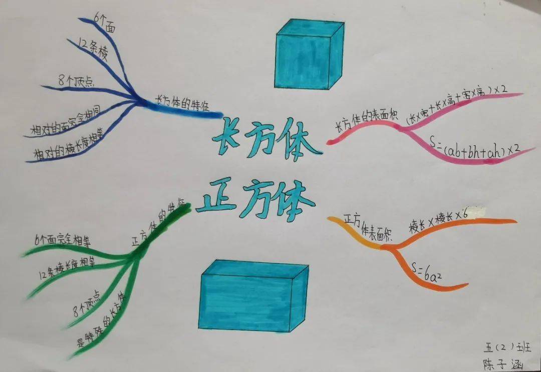 长方体的思维导图简单图片