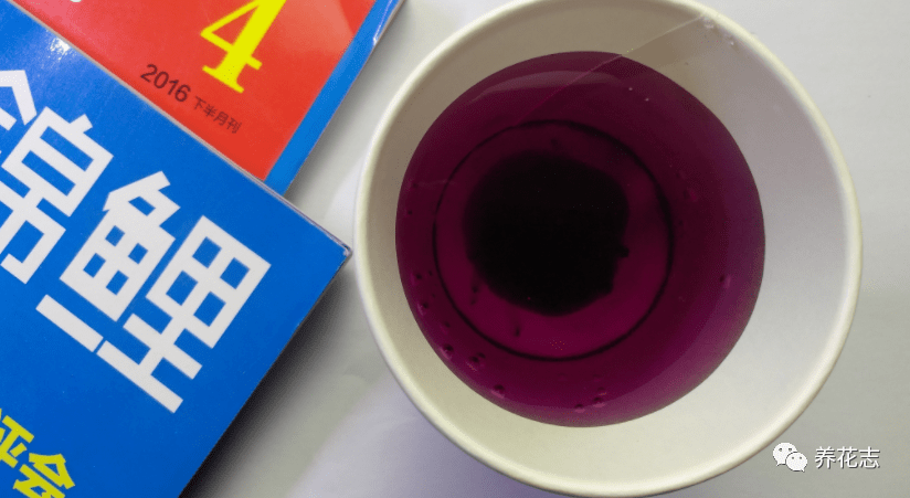 家有高锰酸钾换盆扦插时用上如多菌灵一样好使