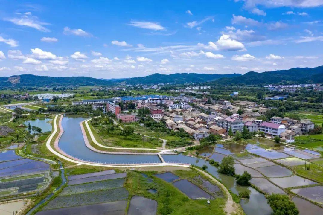 新余渝水区:道路通 百业兴 幸福来