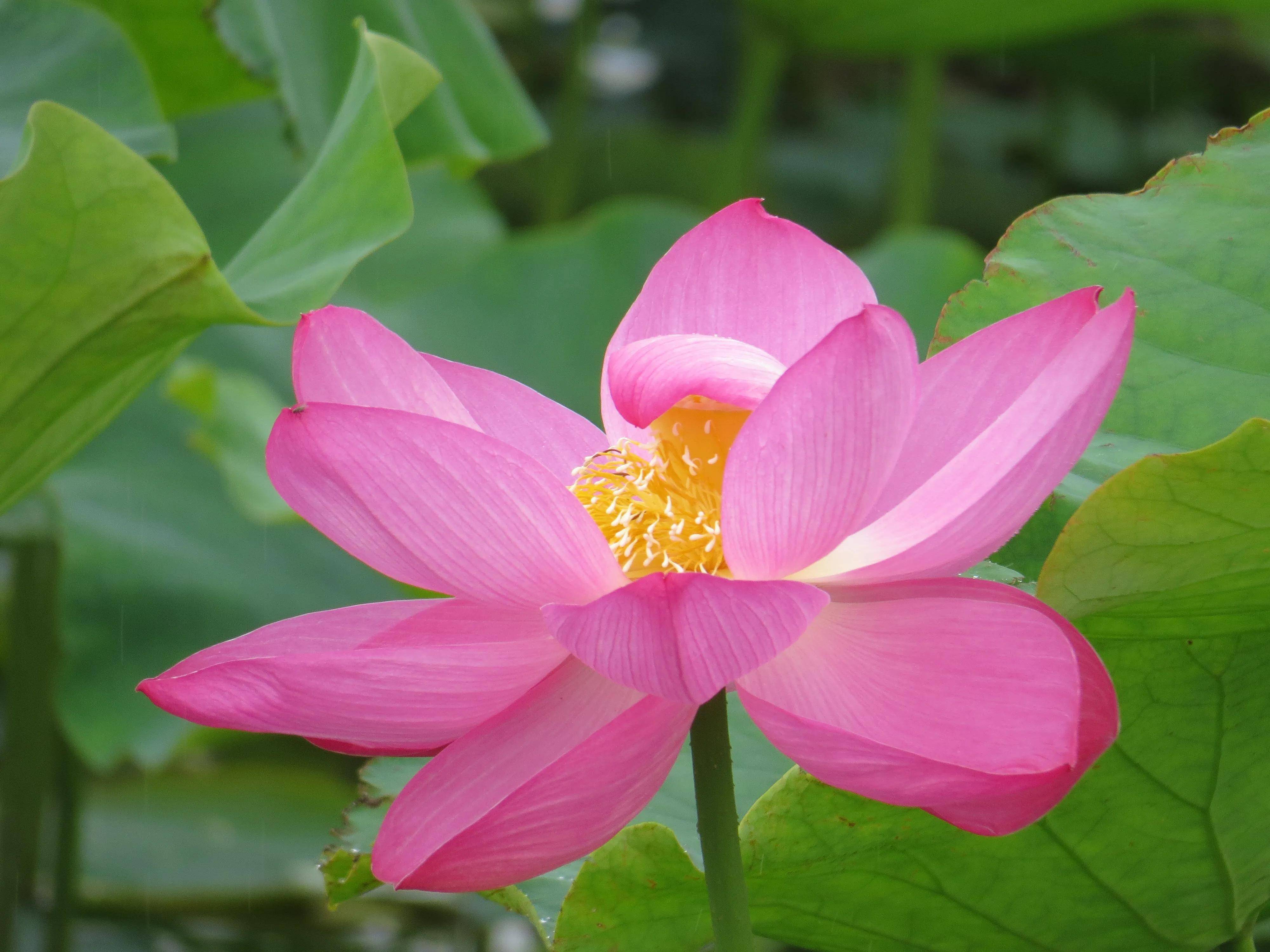 陆良三岔河湿地公园一一一到一年风光最美时摄影作品