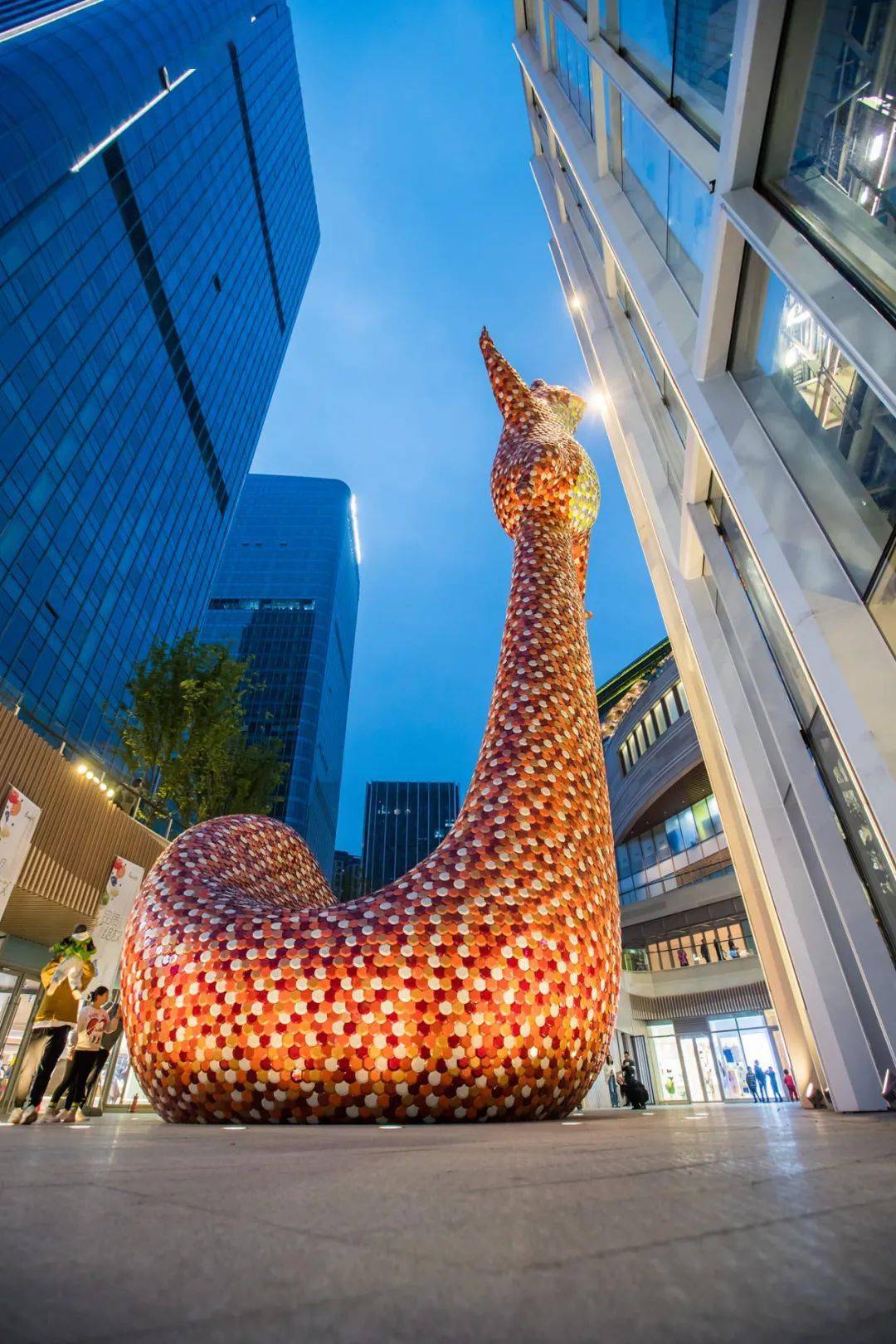 hofman又一新作闪亮的松鼠现身重庆