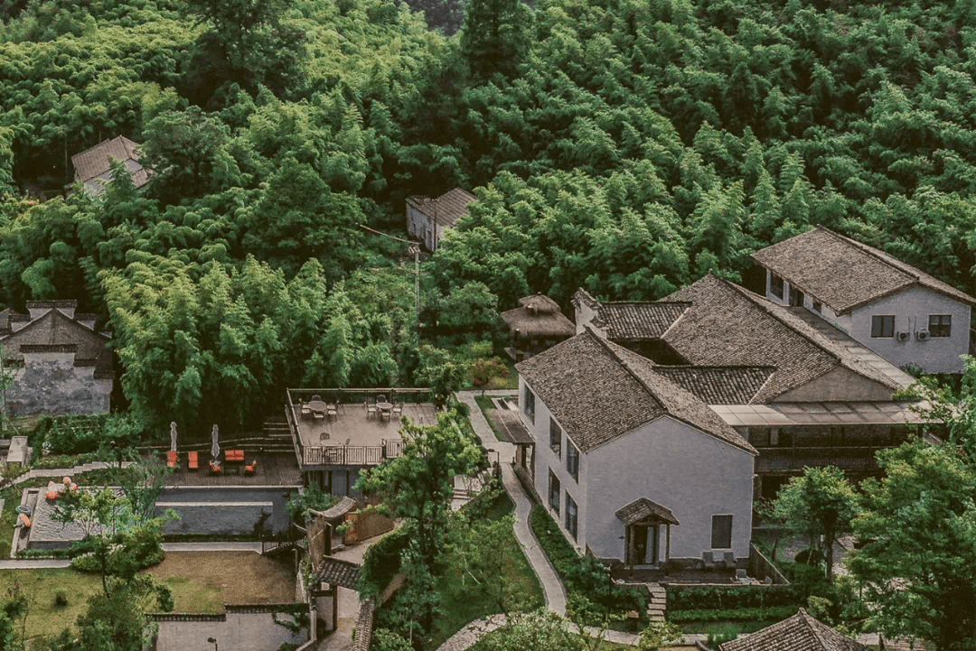 睡进安吉森林云海里的蘑菇屋民宿团建亲子游首选丨南方民宿