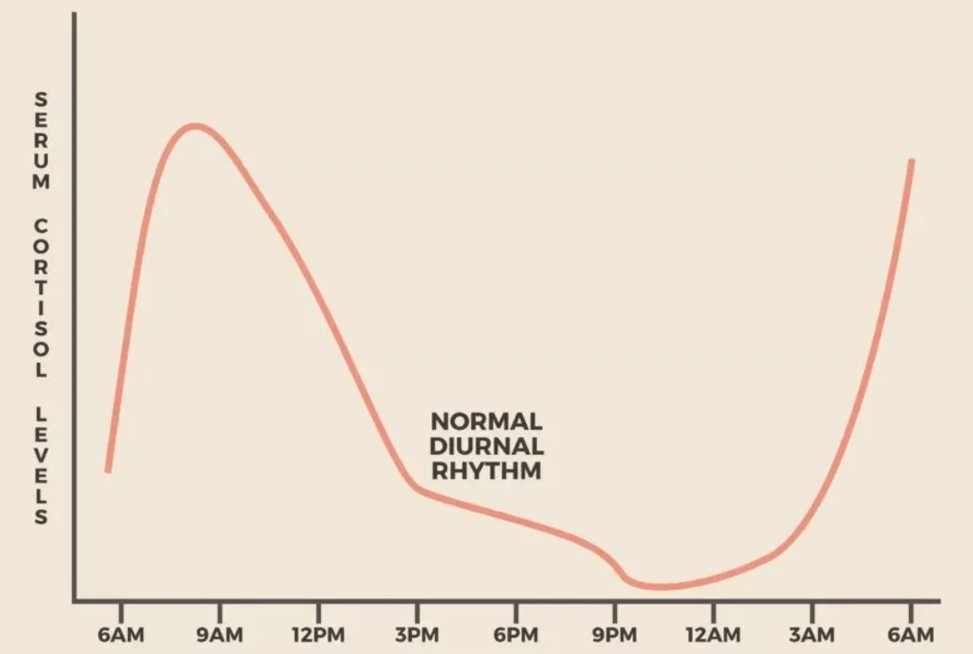 早晨6-8點皮質醇水平最高, 下午4-6點約為早上的一半,晚上10點到凌晨2
