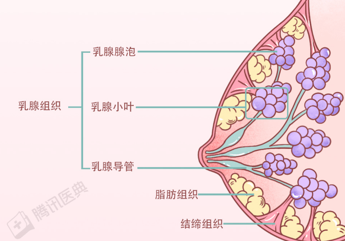 全裸服务,乳房按摩,视频曝光被深挖:你以为的保养,是在送命!