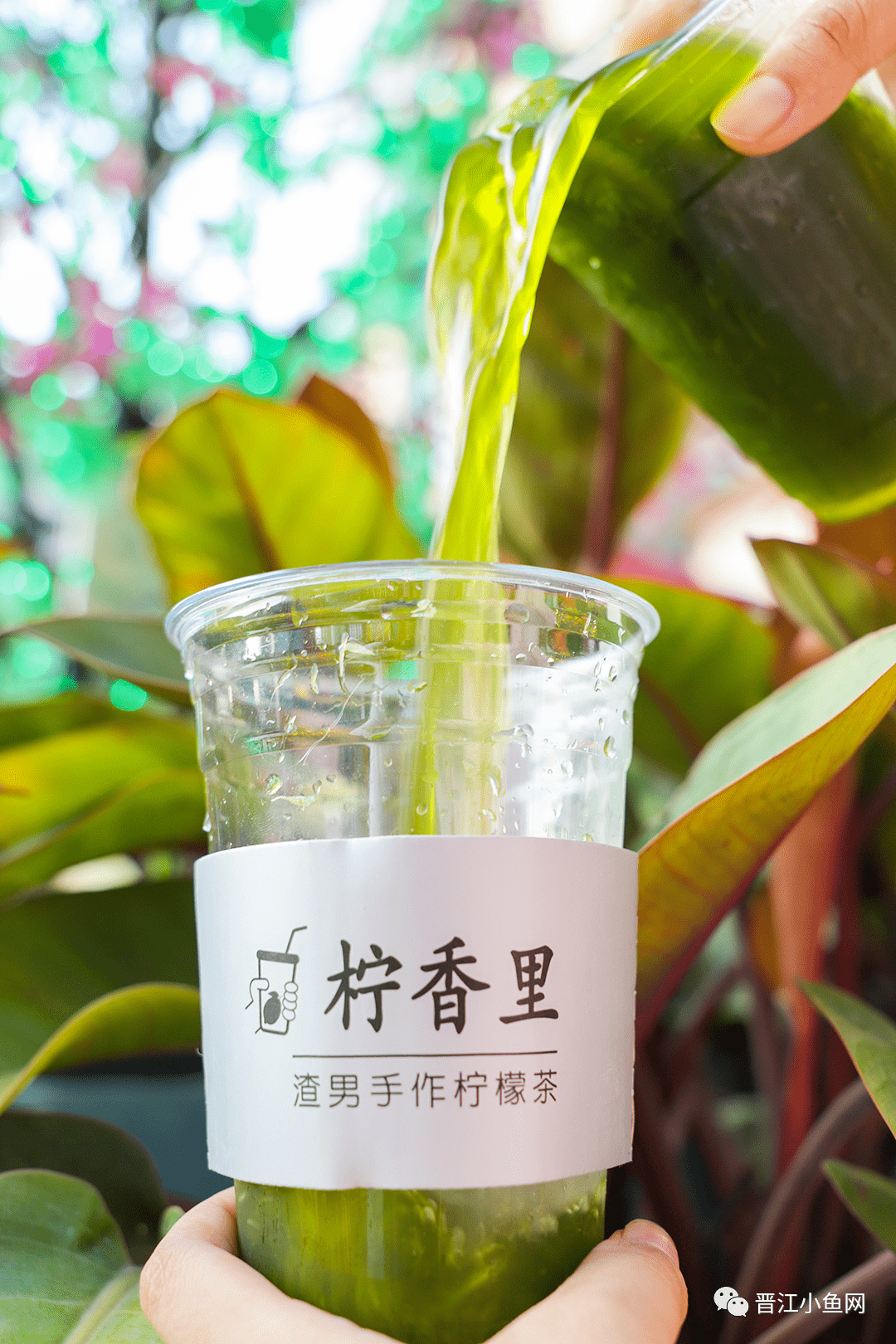 就是要从头绿到尾,不光有绿柠檬,茶底也是绿的!