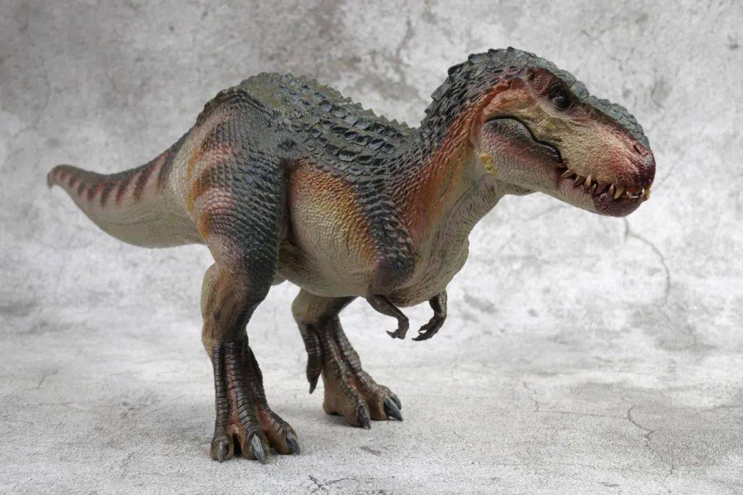 真的太酷了本心楠改毁灭君王龙入手