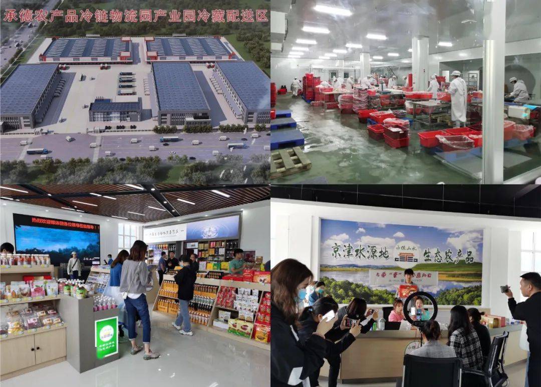承德产品网站推广一体化 来自搜狐网