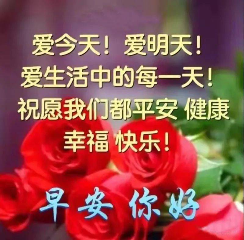 7a0ac86fd1664912bcb40a3be63bb0f9.jpeg