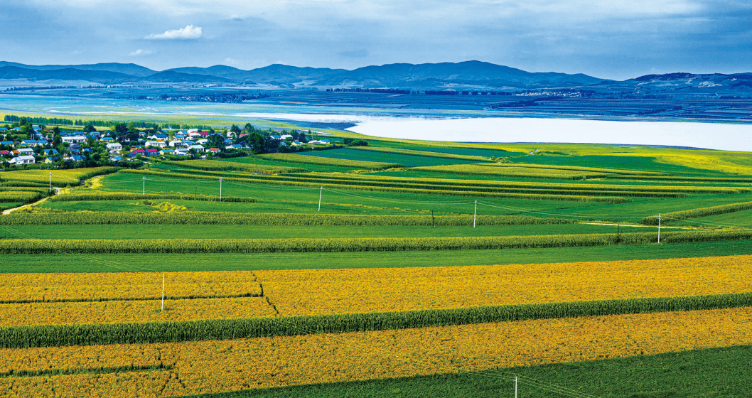 政府合作集团全力助推黑龙江佳木斯桦南县经济开发区招商引资集中优势