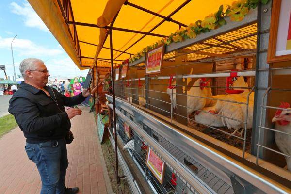 白俄罗斯农业展在中白工业园开幕 热点新闻 文章 新闻一日说