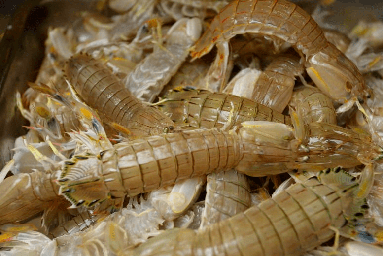 蝦爬子即皮皮蝦,小海鮮中的王子,只需用蔥薑蒜鹽水醃了便可成就一道不