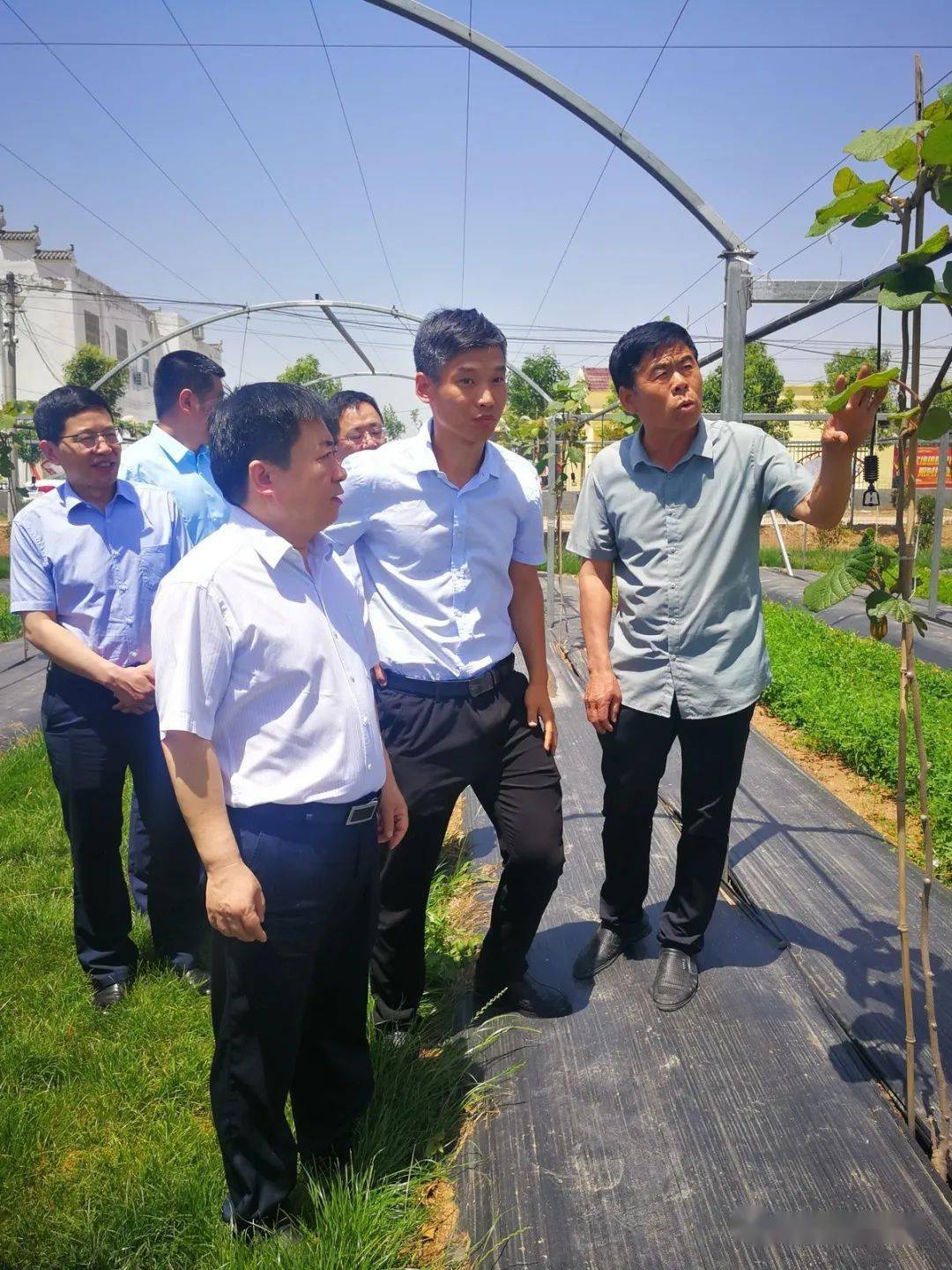 省科技厅副厅长刘英锋深入郸城县王楼村调研乡村振兴工作