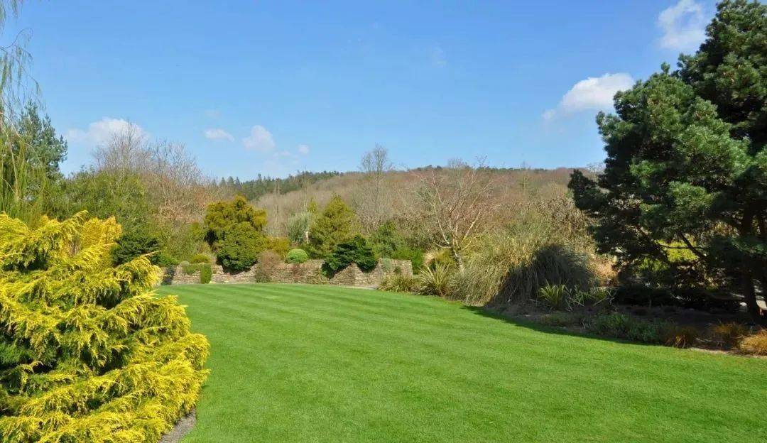 园林绿化小知识之五草坪的养护管理