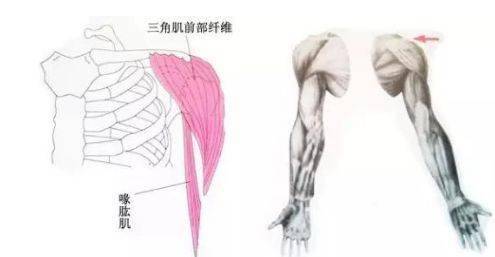 束肩什么成语_成语故事手抄报
