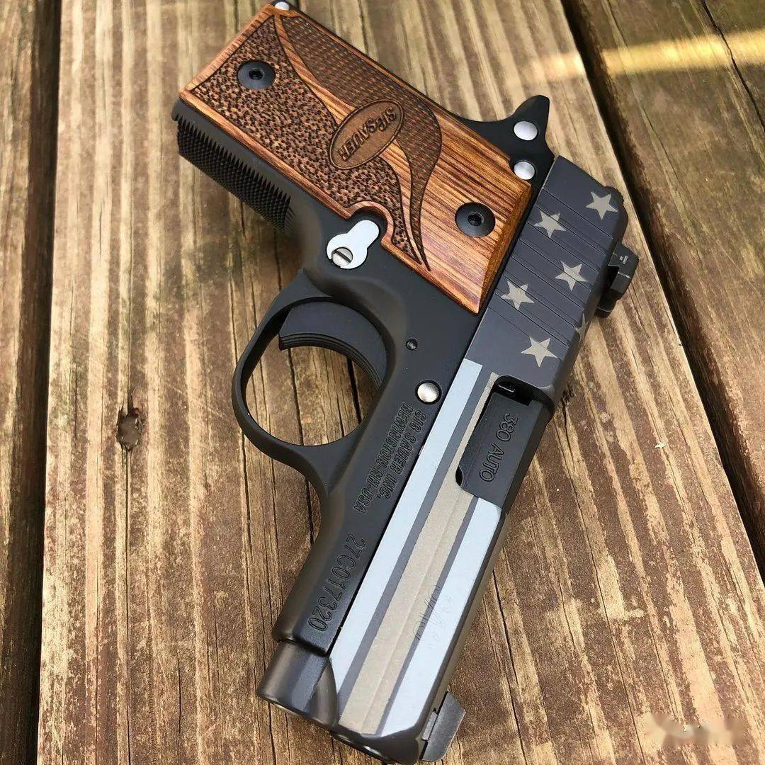 小有可为西格绍尔公司p238便携手枪美图