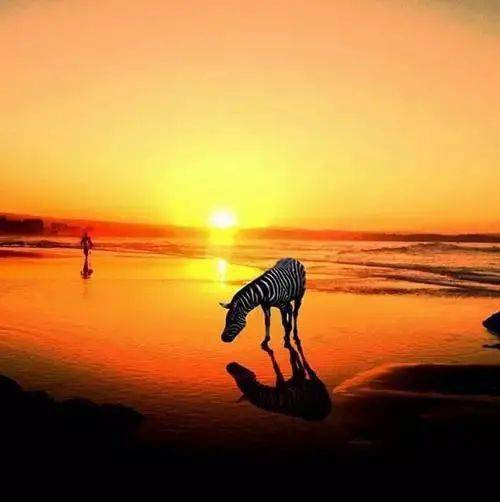 拍照如何构图拍人 f617e13818414e47bb9341fa8fcfdef7.jpeg