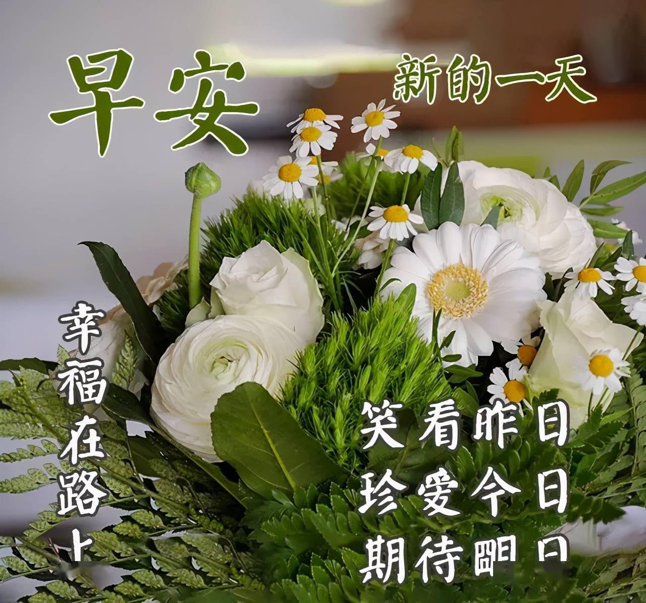 真正的爱情是求之不来挥之不去早上好