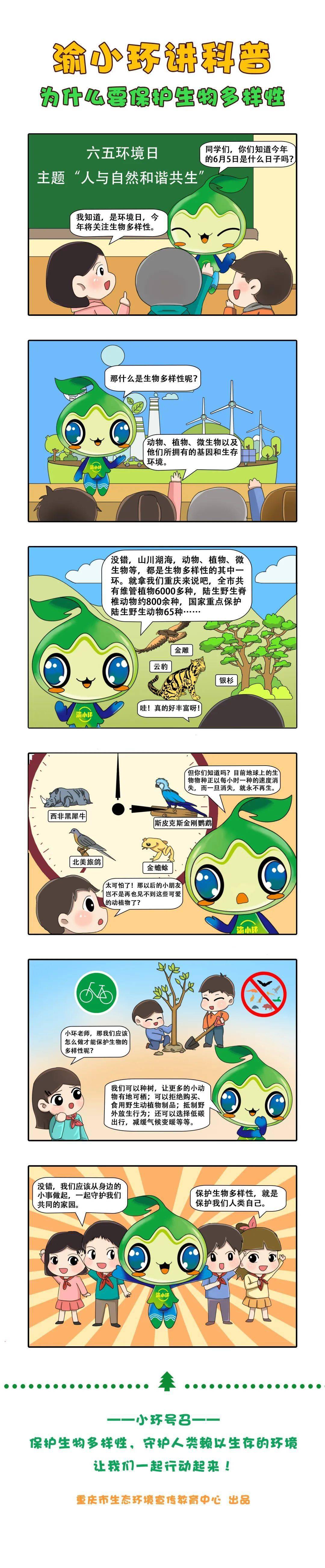 渝小环讲科普漫画 