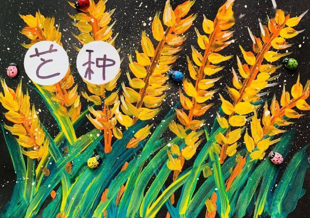 孔子国际的24节气|今日芒种,梦想成熟