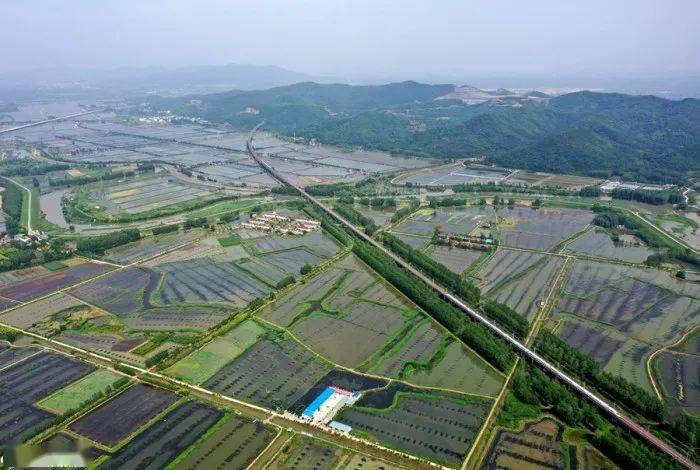 俯瞰全椒县十字镇陈浅村,村落,虾田,远山,高铁构成一幅美丽的夏日乡村