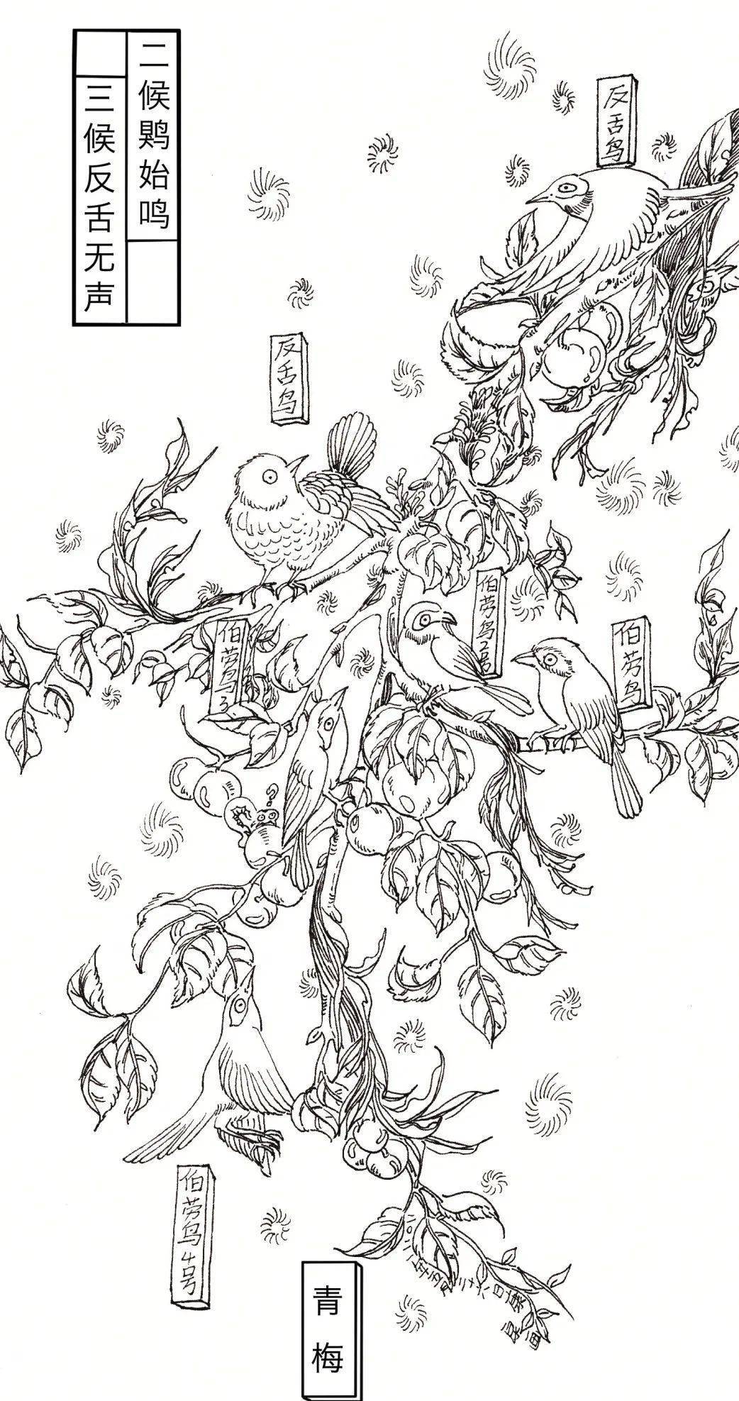 芒种 | 仲夏至此始 未来皆可期