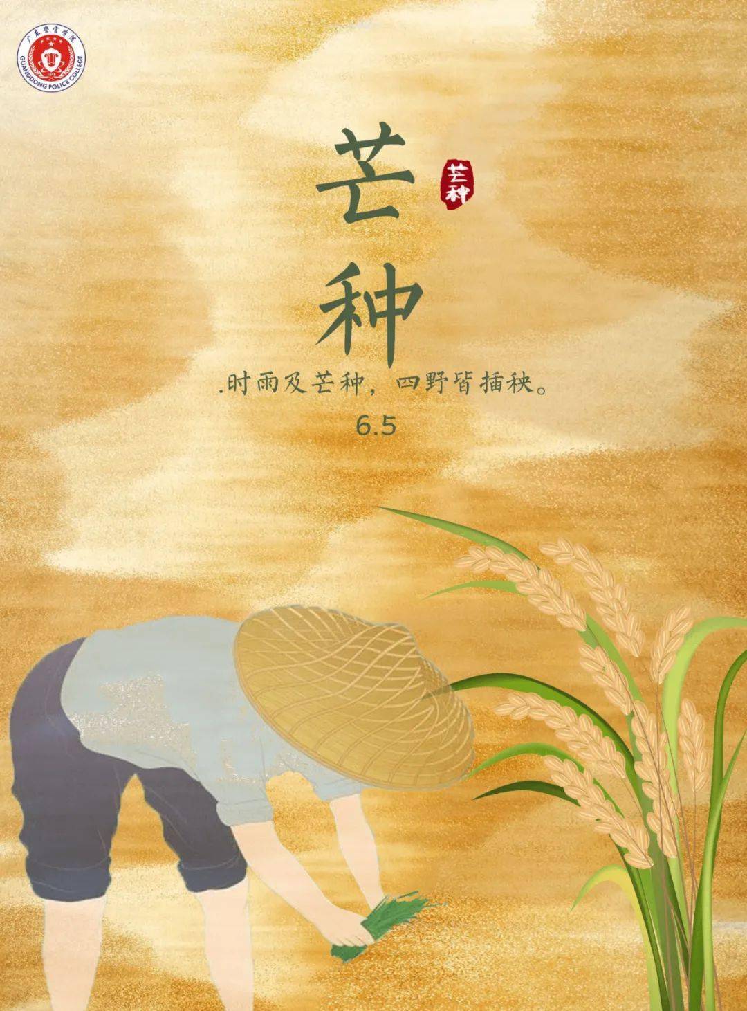 芒种 时雨及芒种,四野皆插秧