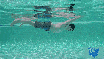 542653b8b9354748a76598dca2219a5f.gif