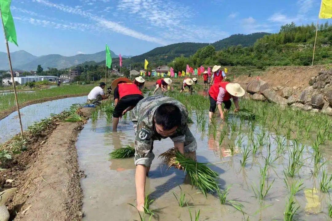 享插秧乐趣 赏醉美梯田│钟山乡开展"学党史,办实事"农耕体验活动