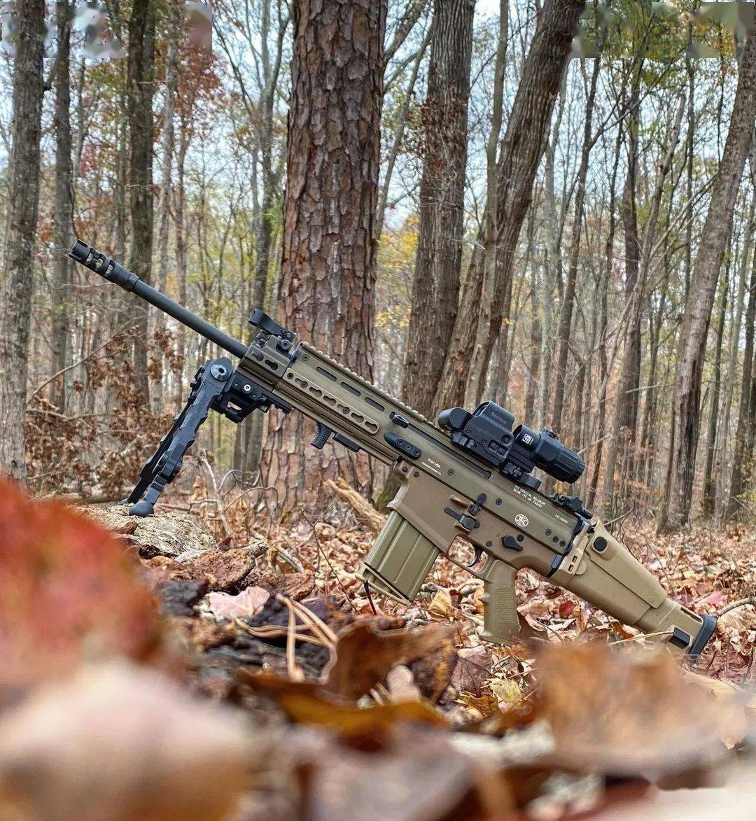 沉稳憨厚的体态fn公司scar17步枪美图欣赏