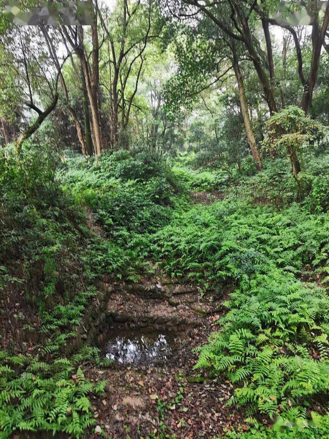 花垣县有多少人口_花垣县火焰土村告别山旮旯 拥抱新生活(3)