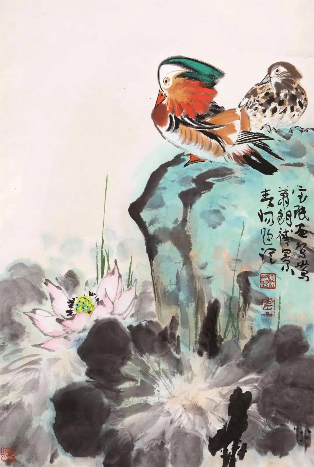 萧朗画荷,美不胜收_荷花