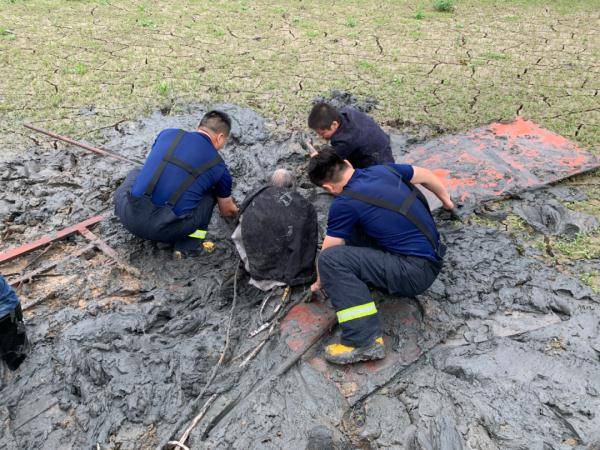 救援丨老人深陷泥潭三天三夜,消防员徒手刨泥三小时将老人救出