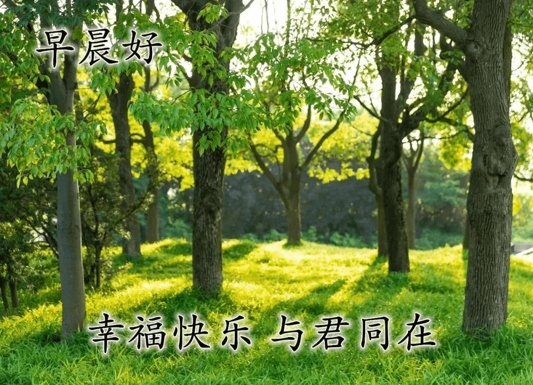 态度 决定你人生的成长 速度 决定你人生的格局 早安 生活