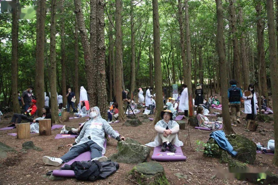 受不了|受不了生活和工作的压力，一群韩国人跑到森林里，比赛发呆