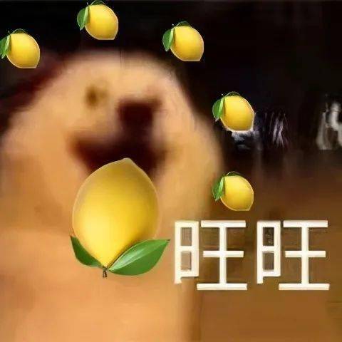 男女比例大学排行_中国31省份男女比例排名出炉!四川“女多男少”,男女失衡严重